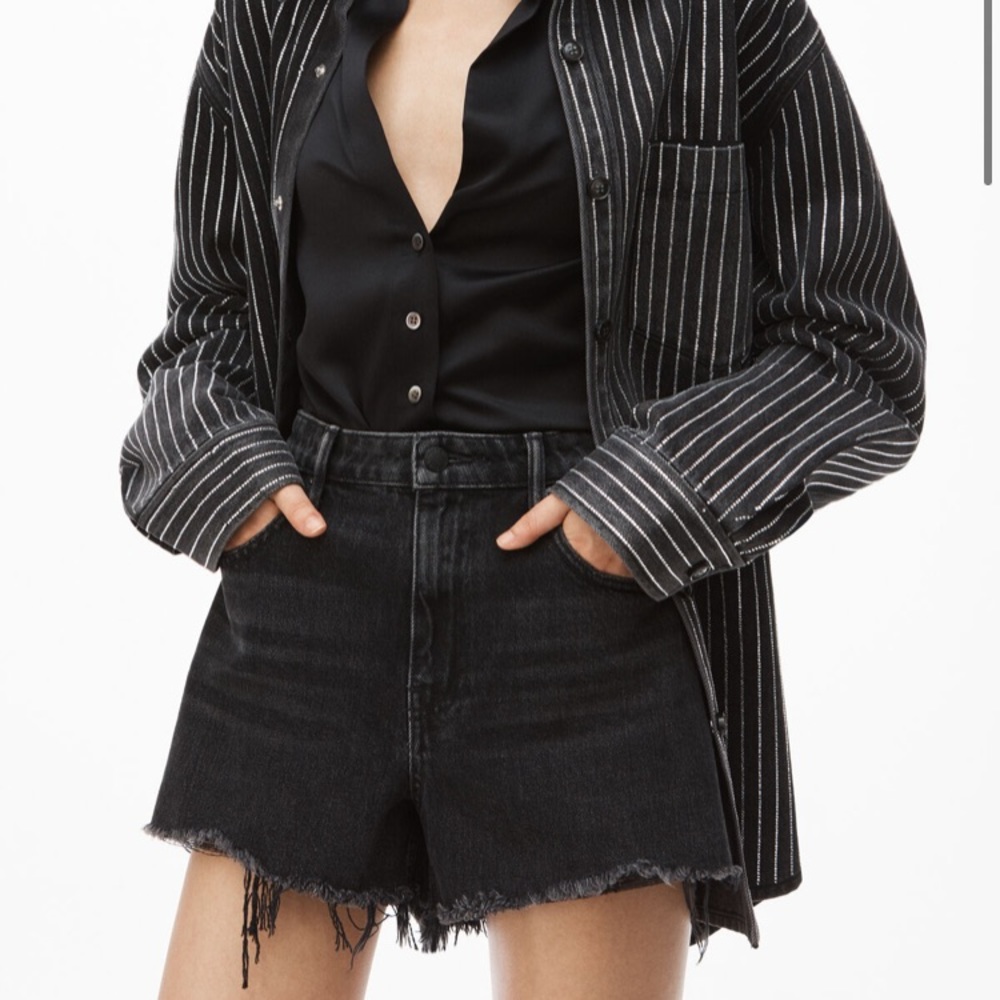 Alexander Wang Bite Denim Shorts